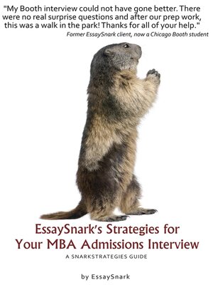 cover image of EssaySnark's Strategies for Your MBA Admissions Interview